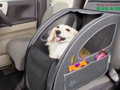 Quy định nhập cảnh thú cưng EVA Air tại các quốc gia mới nhất